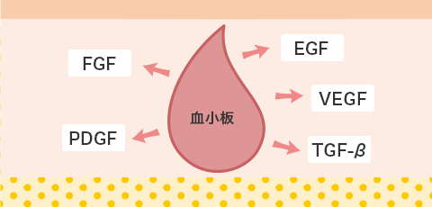 成長因子