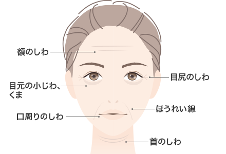 適応のある部位